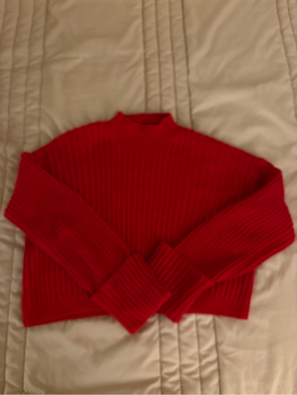 Everlane Red Ribbed Crewneck Sweater